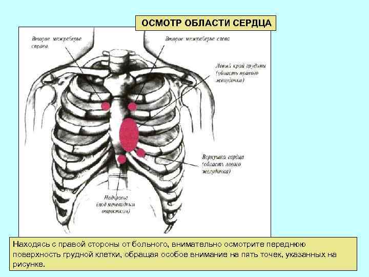 Осмотр по областям