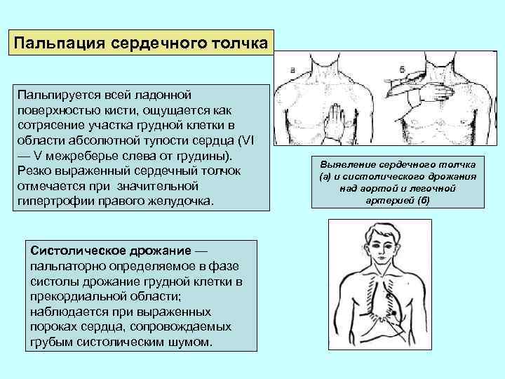 Пальпация молочной. Пальпация верхушечного толчка сердца. Пальпация области сердца пропедевтика. Пальпация грудной клетки пропедевтика алгоритм. Пальпация верхушечного толчка алгоритм.