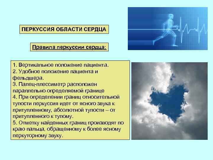 ПЕРКУССИЯ ОБЛАСТИ СЕРДЦА Правила перкуссии сердца: 1. Вертикальное положение пациента. 2. Удобное положение пациента