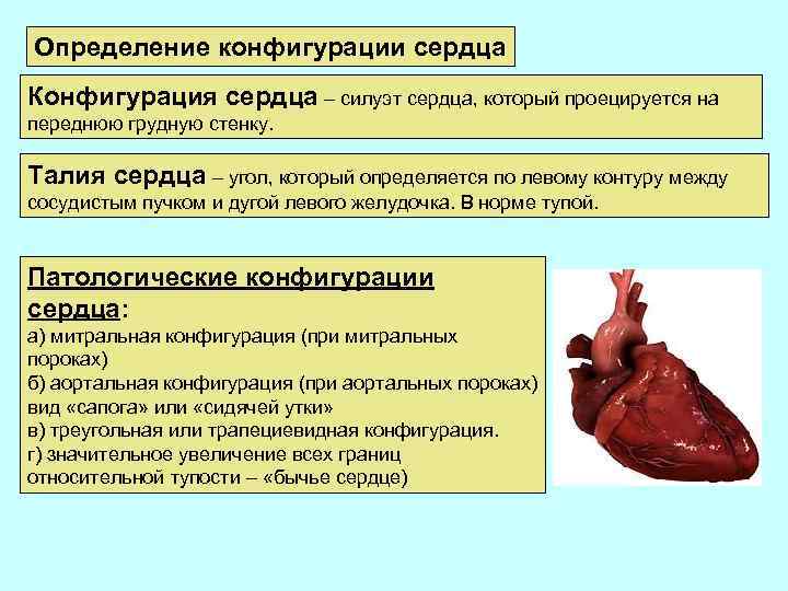Как отличить сердечный. Определение конфигурации сердца. Понятие о сердечной талии, конфигурации сердца. Опеределени еконфигураци сердца. Патологические конфигурации сердца.