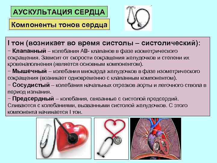 АУСКУЛЬТАЦИЯ СЕРДЦА Компоненты тонов сердца I тон (возникает во время систолы – систолический): −