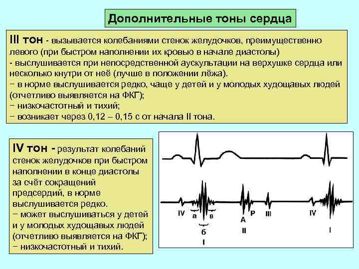 Дополнительные тоны сердца III тон - вызывается колебаниями стенок желудочков, преимущественно левого (при быстром