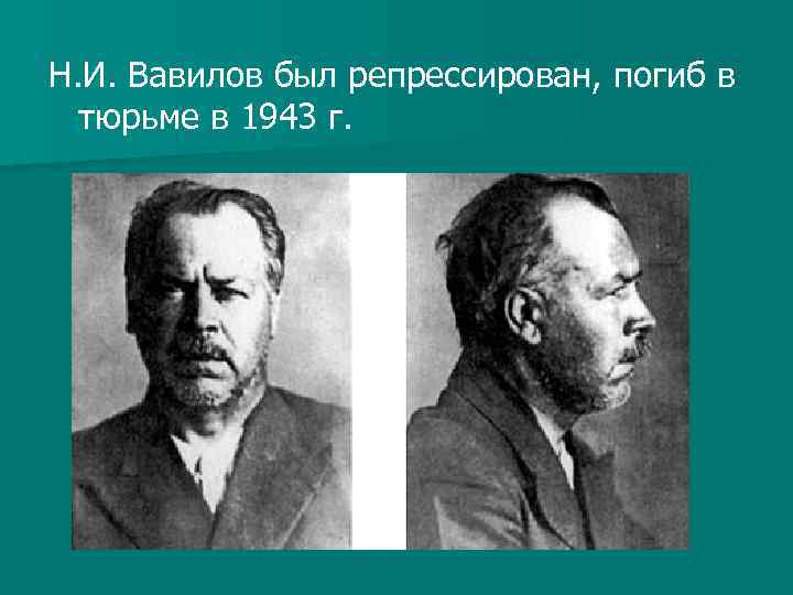 Н. И. Вавилов был репрессирован, погиб в тюрьме в 1943 г. 