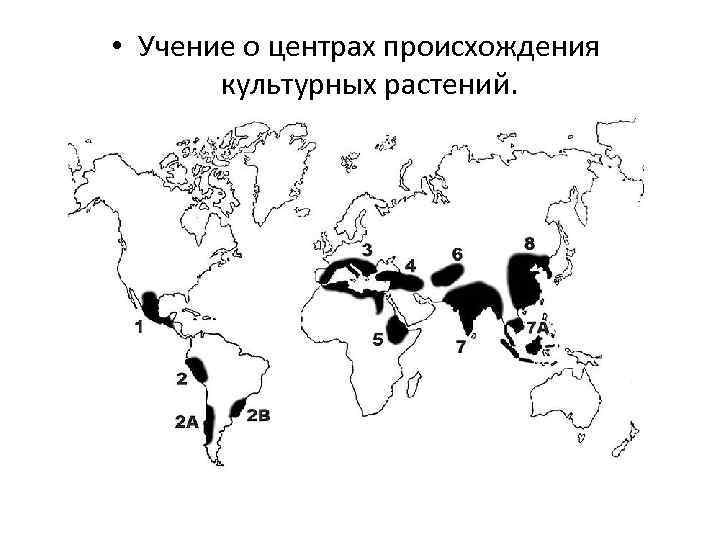  • Учение о центрах происхождения культурных растений. 