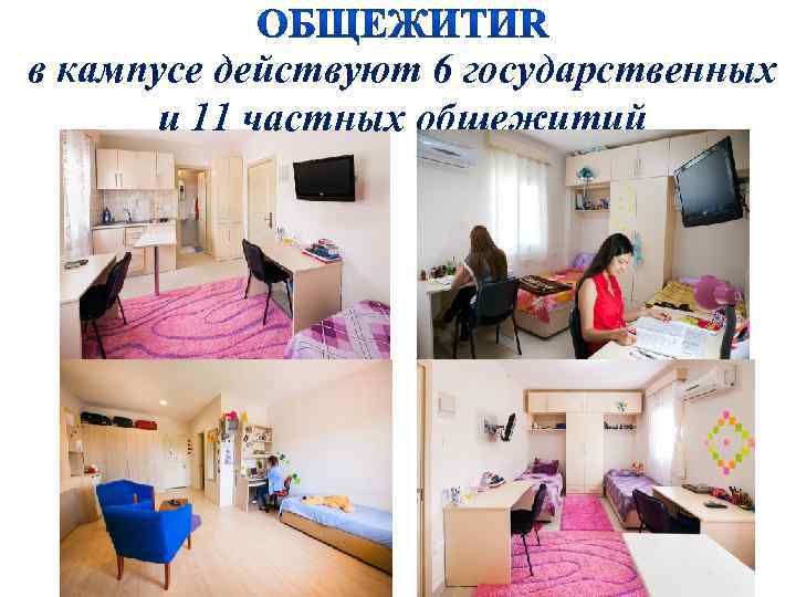 в кампусе действуют 6 государственных и 11 частных общежитий 