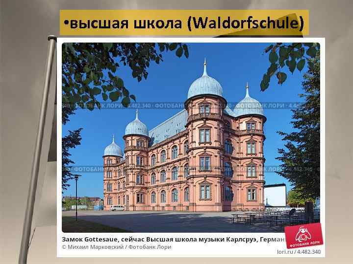 • высшая школа (Waldorfschule) 