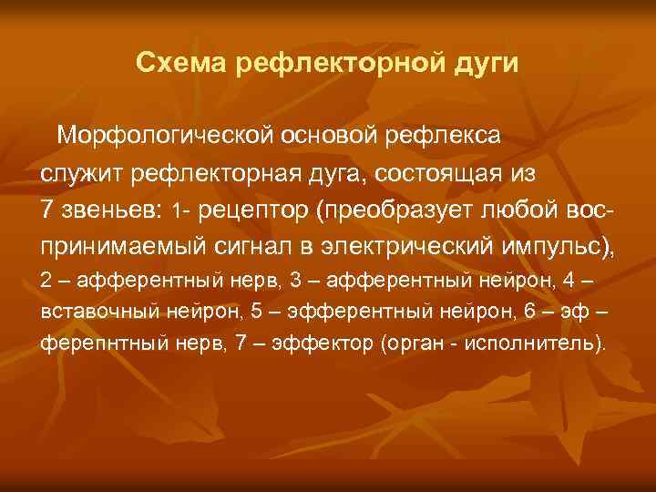 Схема рефлекторной дуги Морфологической основой рефлекса служит рефлекторная дуга, состоящая из 7 звеньев: 1