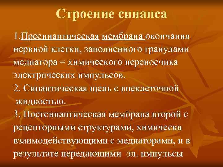 Строение синапса 1. Пресинаптическая мембрана окончания нервной клетки, заполненного гранулами медиатора = химического переносчика