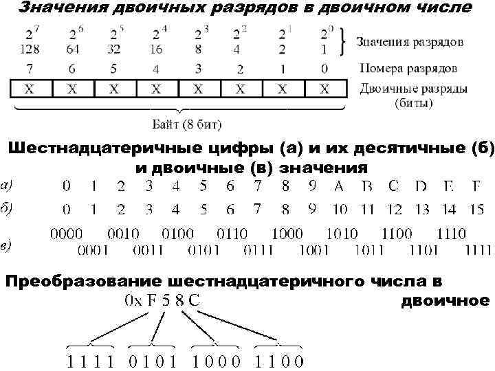 Значения двоичных разрядов в двоичном числе Шестнадцатеричные цифры (а) и их десятичные (б) и