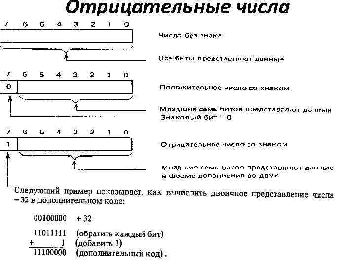 Отрицательные числа 