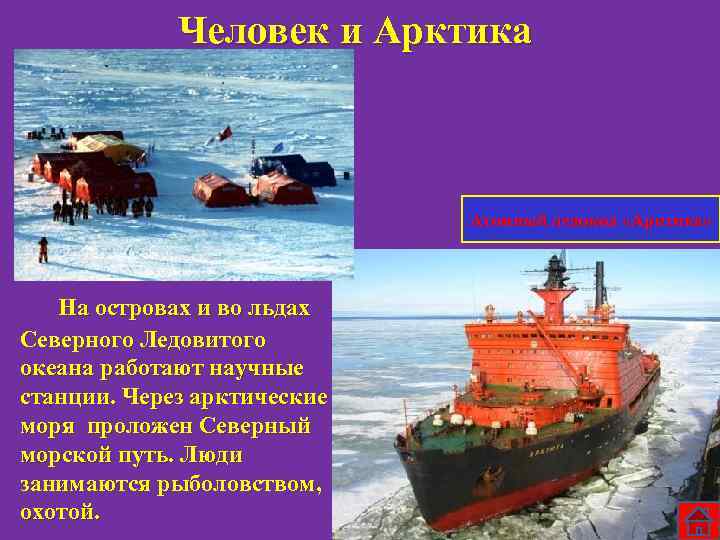 Человек и Арктика Атомный ледокол «Арктика» На островах и во льдах Северного Ледовитого океана