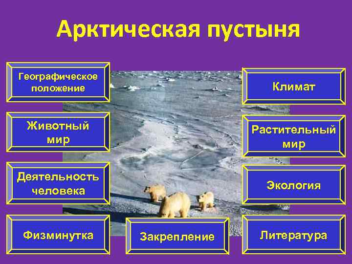 Арктическая пустыня Географическое положение Климат Животный мир Растительный мир Деятельность человека Экология Физминутка Закрепление