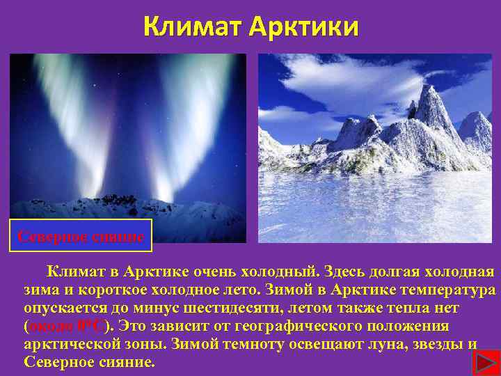 Климат Арктики Северное сияние Климат в Арктике очень холодный. Здесь долгая холодная зима и