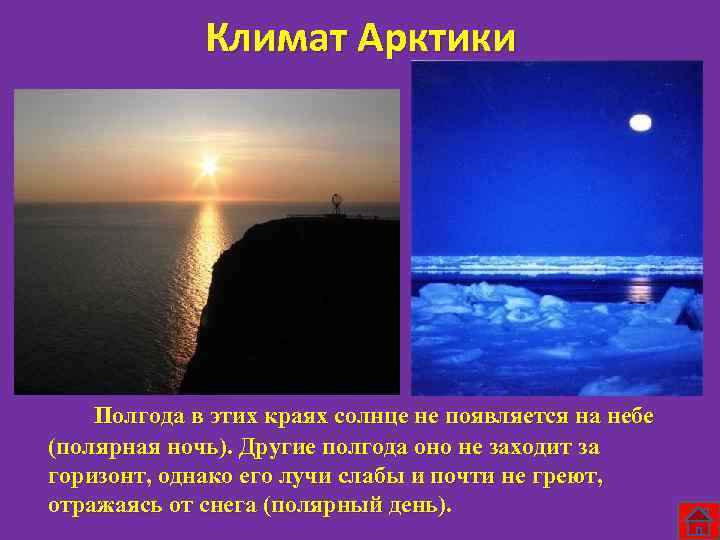 Климат Арктики Полгода в этих краях солнце не появляется на небе (полярная ночь). Другие