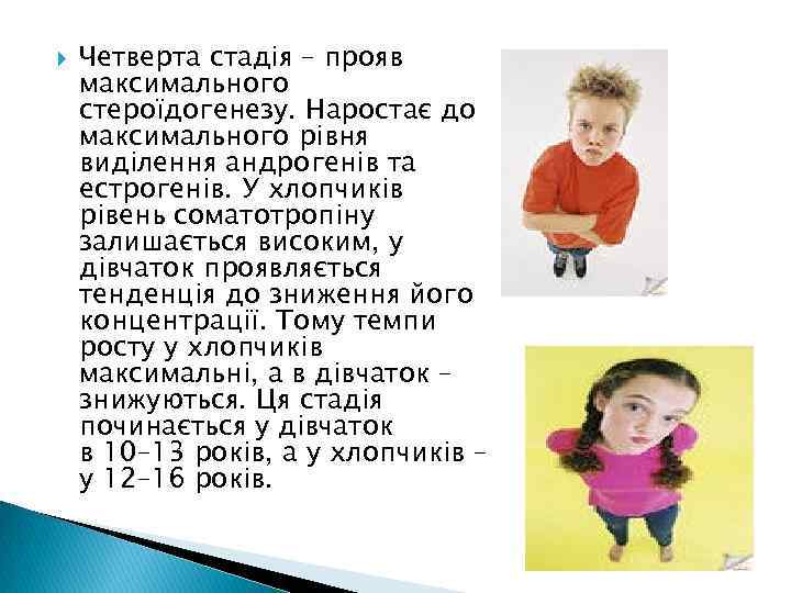  Четверта стадія – прояв максимального стероїдогенезу. Наростає до максимального рівня виділення андрогенів та