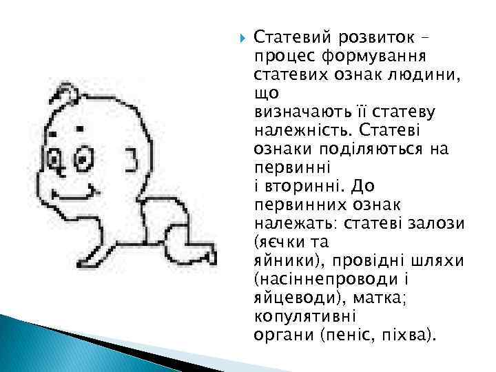  Статевий розвиток – процес формування статевих ознак людини, що визначають її статеву належність.