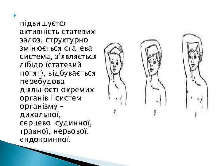  підвищуєтся активність статевих залоз, структурно змінюється статева система, з’являється лібідо (статевий потяг), відбувається