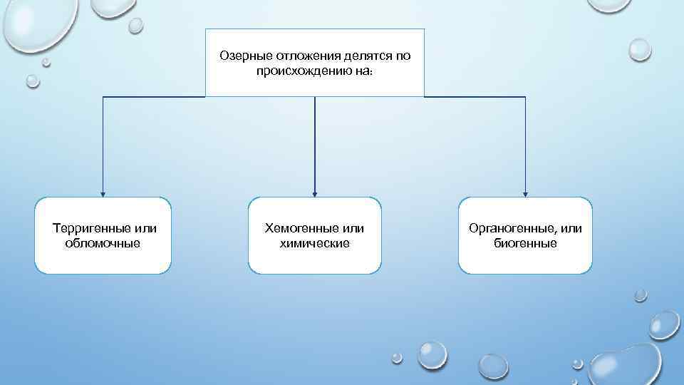 Морской осадок. Морские осадки делятся на. Озерные отложения. Хемогенные осадки озер. По происхождению моря делятся на.