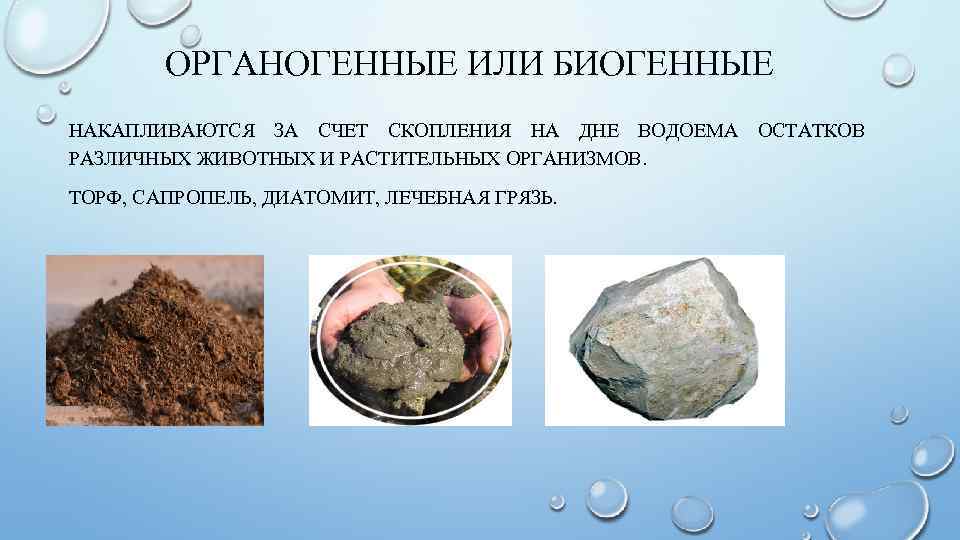 ОРГАНОГЕННЫЕ ИЛИ БИОГЕННЫЕ НАКАПЛИВАЮТСЯ ЗА СЧЕТ СКОПЛЕНИЯ НА ДНЕ ВОДОЕМА ОСТАТКОВ РАЗЛИЧНЫХ ЖИВОТНЫХ И
