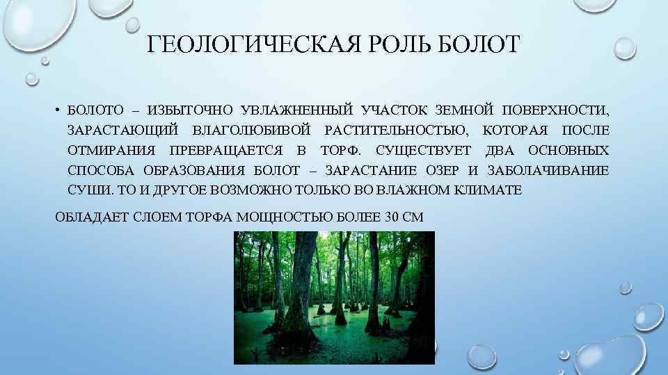 Роль болот в природе. Геологическая деятельность озер и болот. Геологическая роль болот. Геологическая деятельность болота. Способы образования болот.