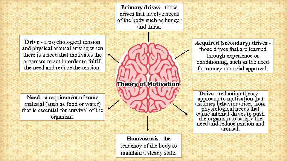 Primary drives - those drives that involve needs of the body such as hunger
