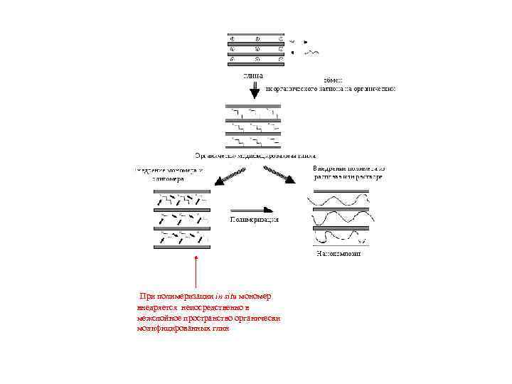 При полимеризации in situ мономер внедряется непосредственно в межслойное пространство органически модифицированных глин 