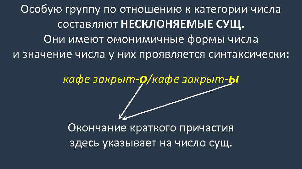 Особую группу по отношению к категории числа составляют НЕСКЛОНЯЕМЫЕ СУЩ. Они имеют омонимичные формы