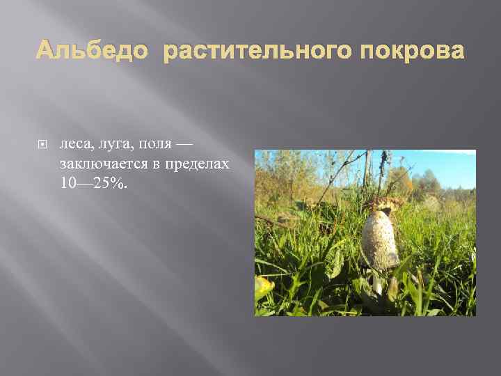 Альбедо растительного покрова леса, луга, поля — заключается в пределах 10— 25%. 