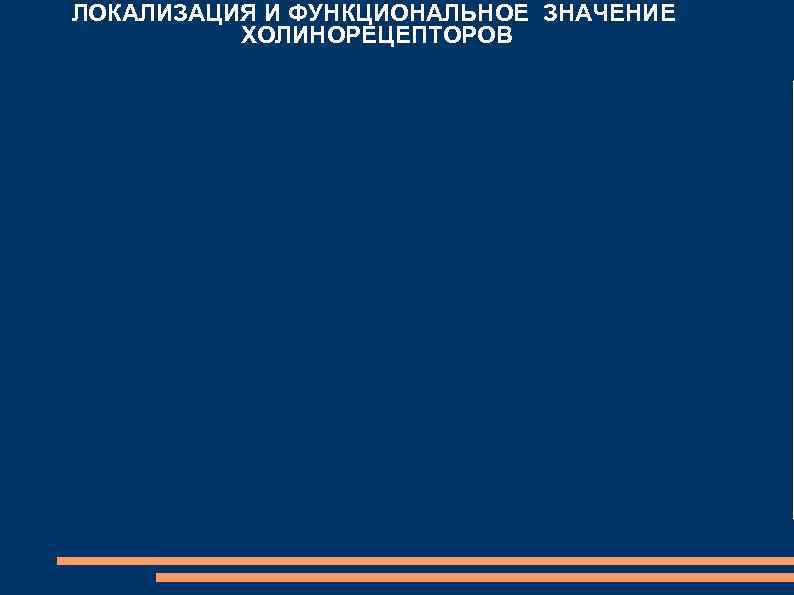 ЛОКАЛИЗАЦИЯ И ФУНКЦИОНАЛЬНОЕ ЗНАЧЕНИЕ ХОЛИНОРЕЦЕПТОРОВ 