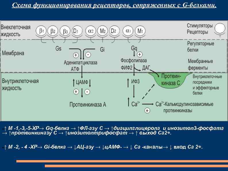 Схема функционирования ис