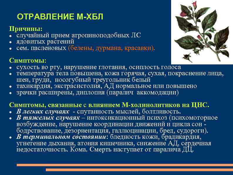 ОТРАВЛЕНИЕ М ХБЛ Причины: случайный прием атропиноподобных ЛС ядовитых растений сем. пасленовых (белены, дурмана,
