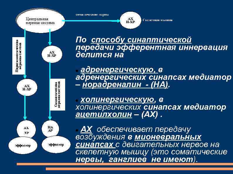 Эфферентная терапия