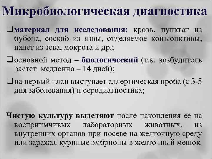 Микробиологическая диагностика q материал для исследования: кровь, пунктат из бубона, соскоб из язвы, отделяемое