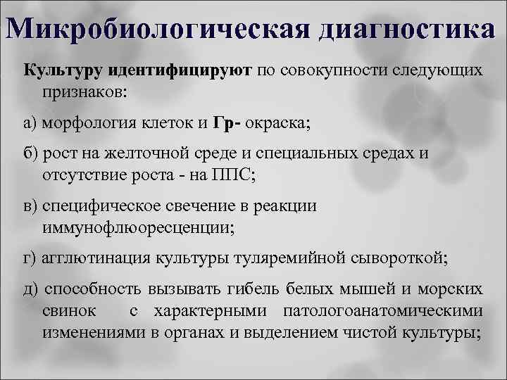Микробиологическая диагностика Культуру идентифицируют по совокупности следующих признаков: а) морфология клеток и Гр- окраска;