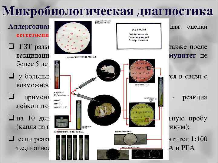 Микробиологическая диагностика Аллергодиагностика: проба с тулярином естественного и вакцинального иммунитета. - для оценки q