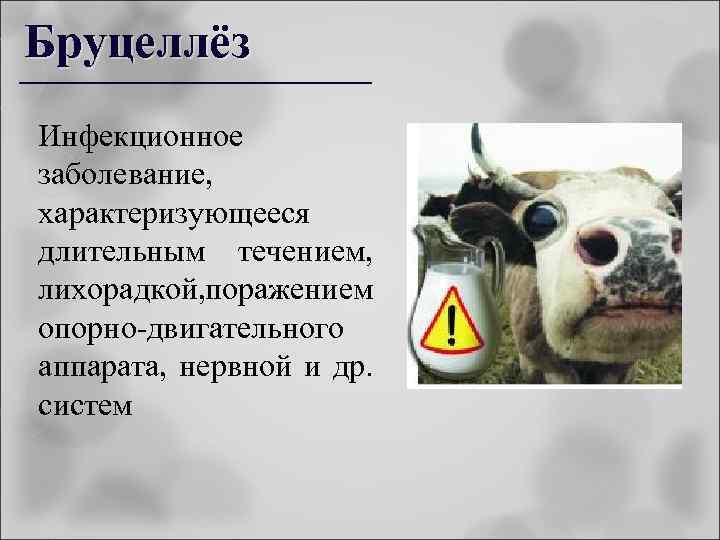 Бруцеллёз Инфекционное заболевание, характеризующееся длительным течением, лихорадкой, поражением опорно-двигательного аппарата, нервной и др. систем