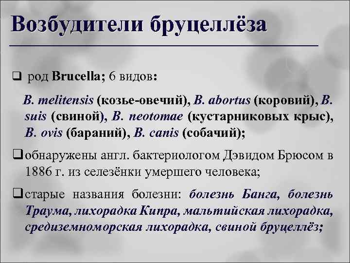 Возбудители бруцеллёза q род Brucella; 6 видов: B. melitensis (козье-овечий), B. abortus (коровий), B.