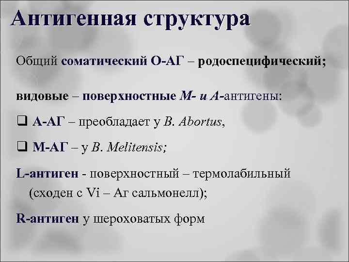 Антигенная структура Общий соматический О-АГ – родоспецифический; видовые – поверхностные М- и А-антигены: q