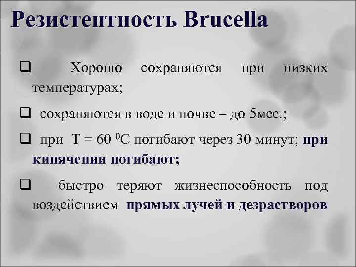 Резистентность Brucella q Хорошо температурах; сохраняются при низких q сохраняются в воде и почве