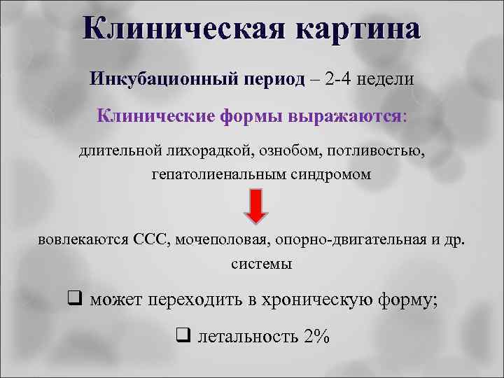 Клиническая картина Инкубационный период – 2 -4 недели Клинические формы выражаются: длительной лихорадкой, ознобом,