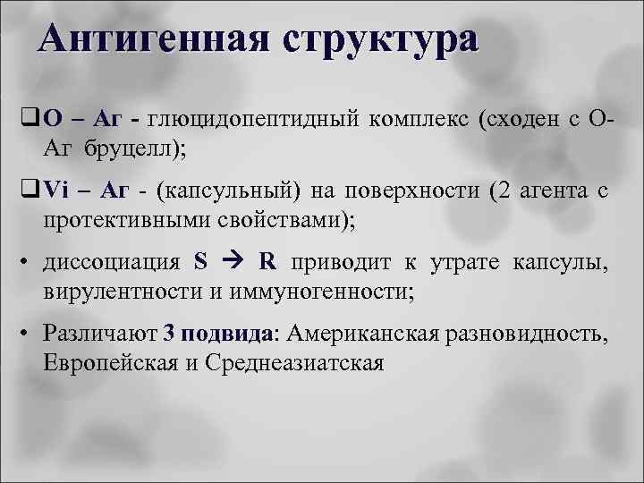 Антигенная структура q О – Аг - глюцидопептидный комплекс (сходен с ОАг бруцелл); q