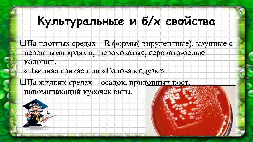 Культуральные и б/х свойства q. На плотных средах – R формы( вирулентные), крупные с