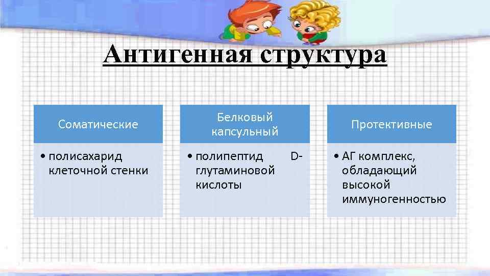 Антигенная структура Соматические • полисахарид клеточной стенки Белковый капсульный • полипептид глутаминовой кислоты Протективные