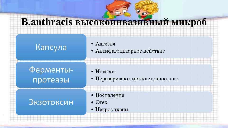 B. anthracis высокоинвазивный микроб Капсула • Адгезия • Антифагоцитарное действие Ферментыпротеазы • Инвазия •