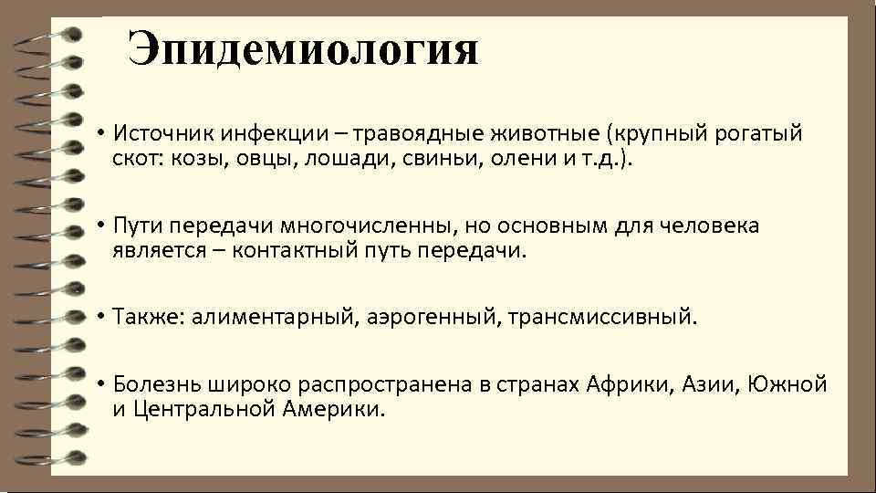 Эпидемиология • Источник инфекции – травоядные животные (крупный рогатый скот: козы, овцы, лошади, свиньи,
