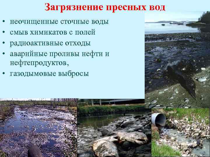 Нехватка пресной воды экологическая проблема презентация