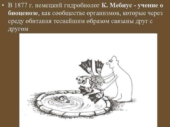  • В 1877 г. немецкий гидробиолог К. Мебиус - учение о биоценозе, как