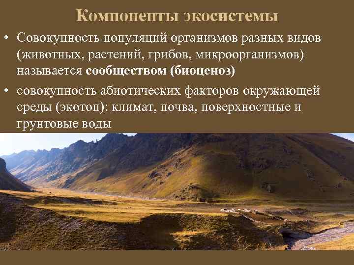 Компоненты экосистемы • Совокупность популяций организмов разных видов (животных, растений, грибов, микроорганизмов) называется сообществом