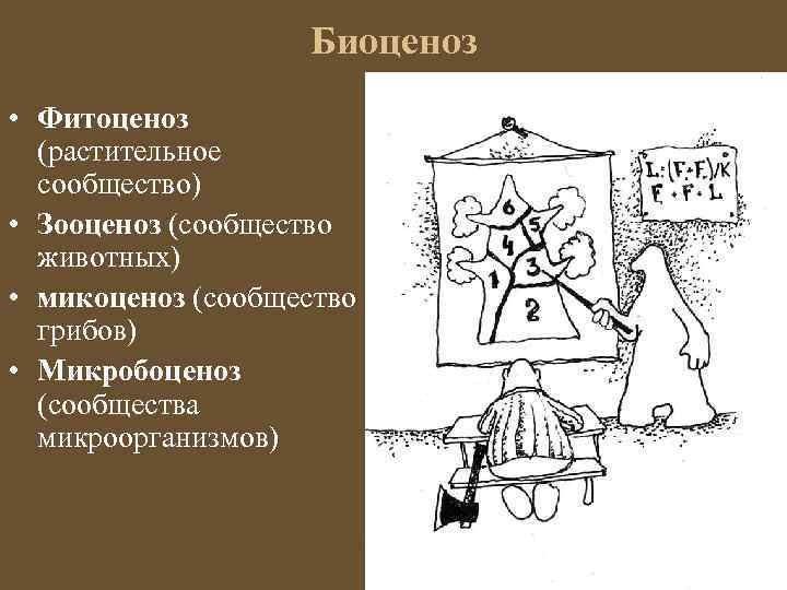 Биоценоз • Фитоценоз (растительное сообщество) • Зооценоз (сообщество животных) • микоценоз (сообщество грибов) •