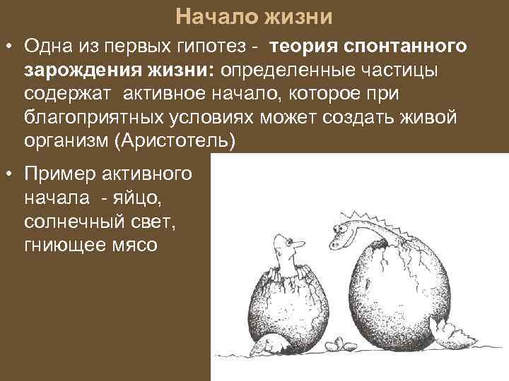 Начало жизни • Одна из первых гипотез - теория спонтанного зарождения жизни: определенные частицы